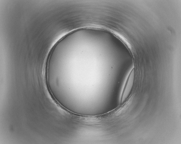 X0000116391007200912231105