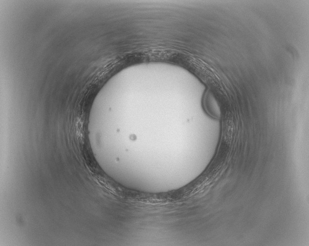 X0000116391010200912231105