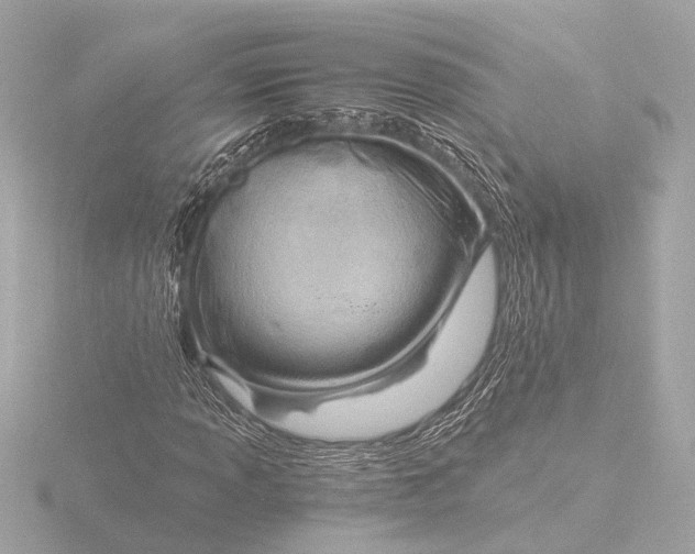 X0000116391013200912231105