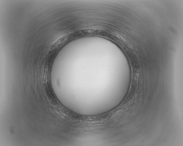 X0000116391014200912231105