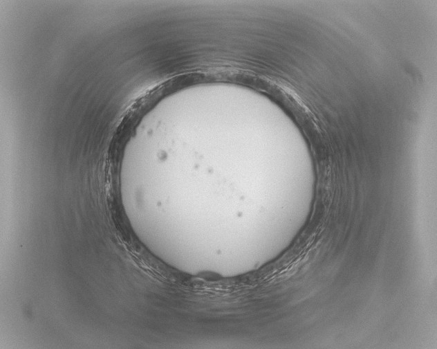 X0000116391016200912231105