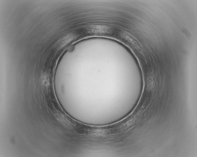 X0000116391017200912231105