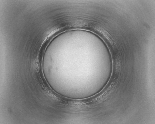 X0000116391018200912231105