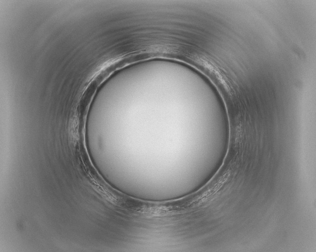 X0000116391019200912231105