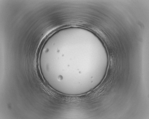 X0000116391020200912231105