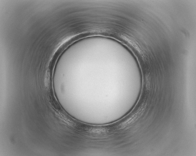 X0000116391021200912231105