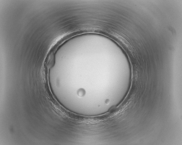 X0000116391022200912231105