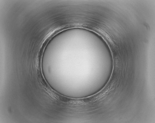 X0000116391023200912231105