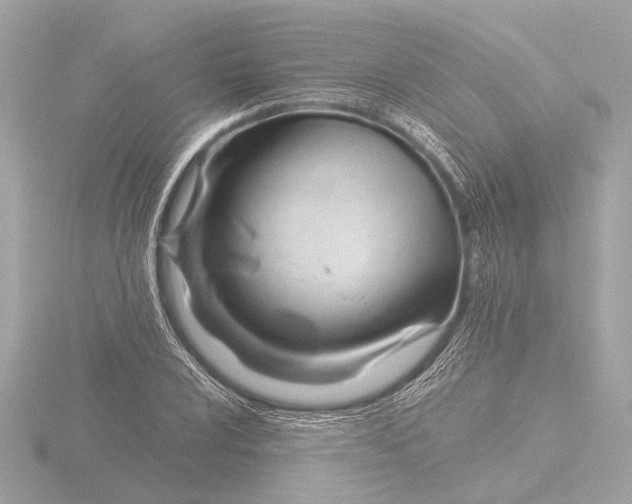 X0000116391024200912231105