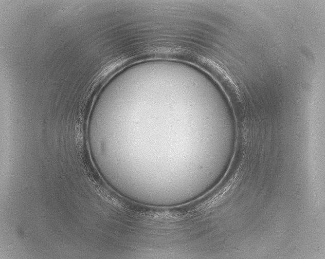 X0000116391025200912231105