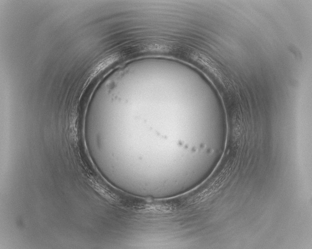 X0000116391026200912231105