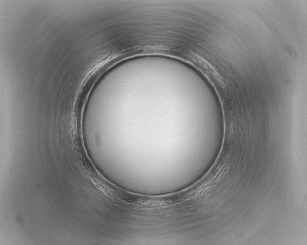 X0000116391027200912231105