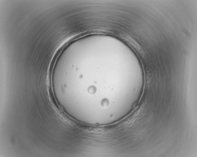 X0000116391028200912231105