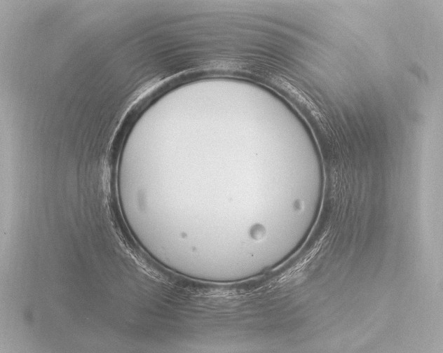 X0000116391029200912231105