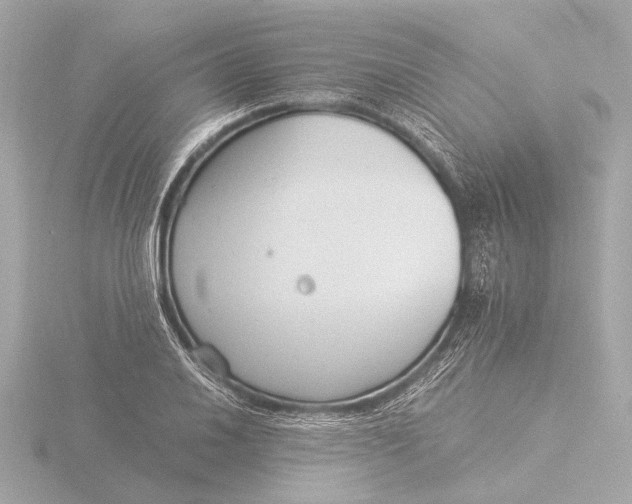 X0000116391030200912231105