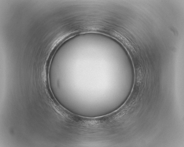 X0000116391031200912231105