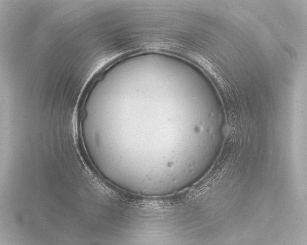 X0000116391032200912231105