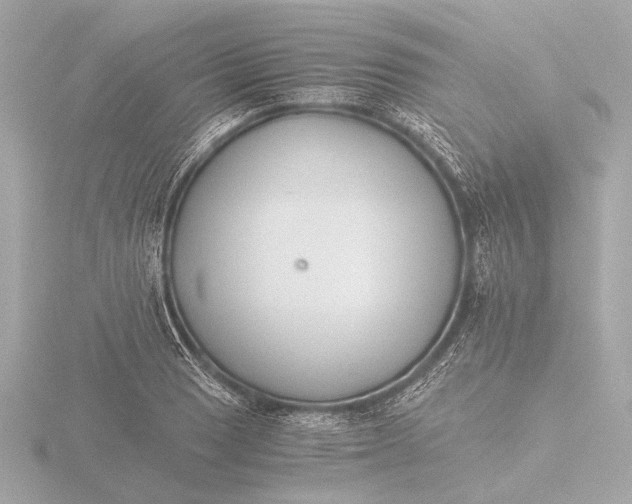 X0000116391033200912231105