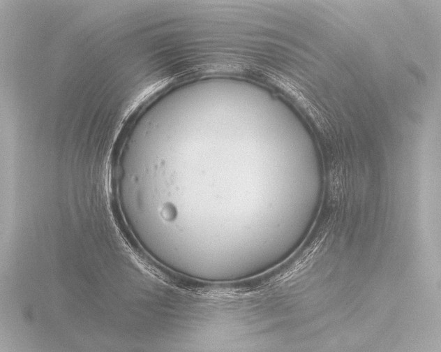 X0000116391034200912231105