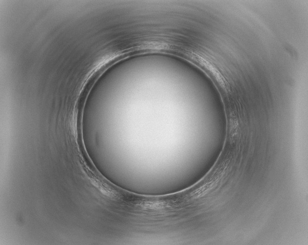 X0000116391035200912231105