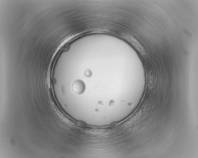 X0000116391036200912231105