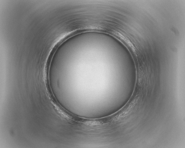 X0000116391037200912231105