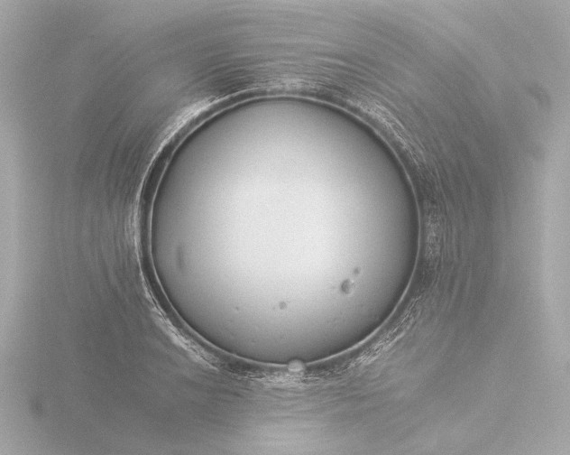 X0000116391038200912231105