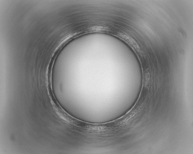 X0000116391039200912231105