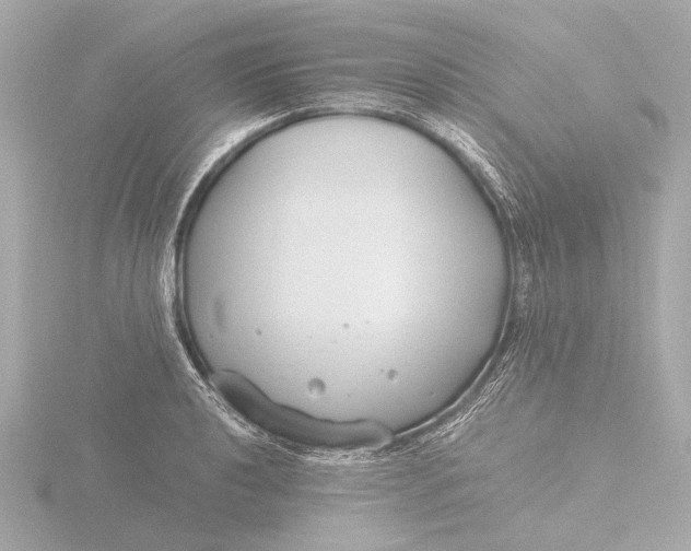 X0000116391040200912231105