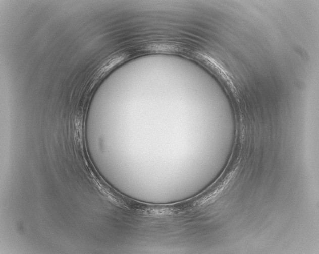 X0000116391041200912231105