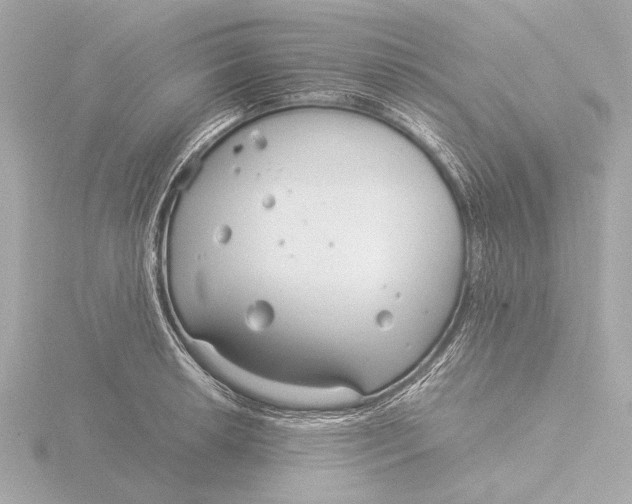 X0000116391042200912231105