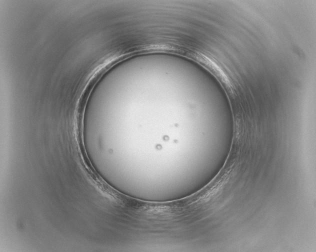 X0000116391043200912231105