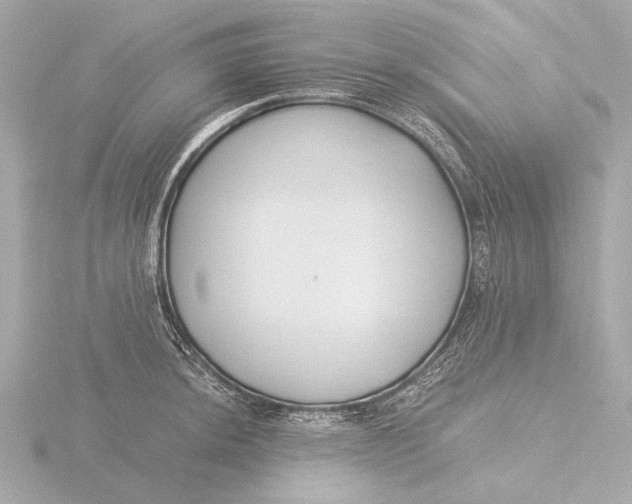 X0000116391044200912231105