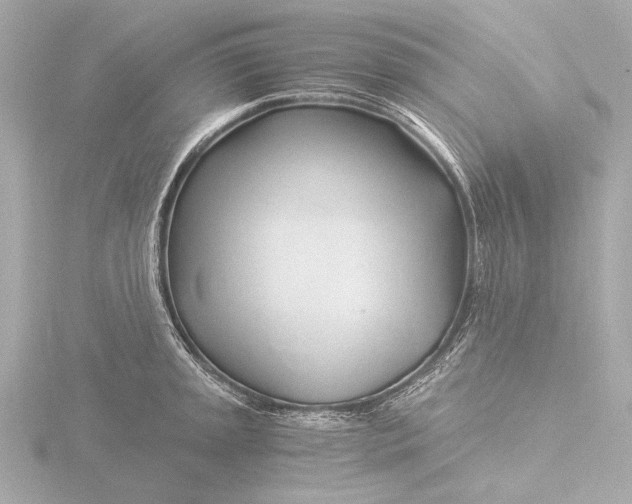 X0000116391045200912231105