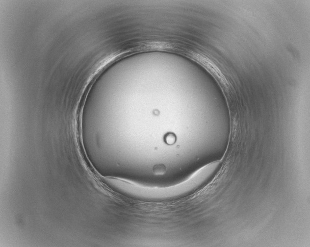 X0000116391047200912231105