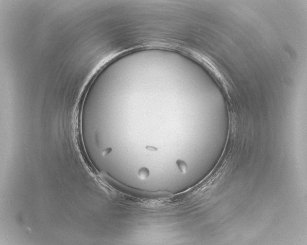 X0000116391048200912231105