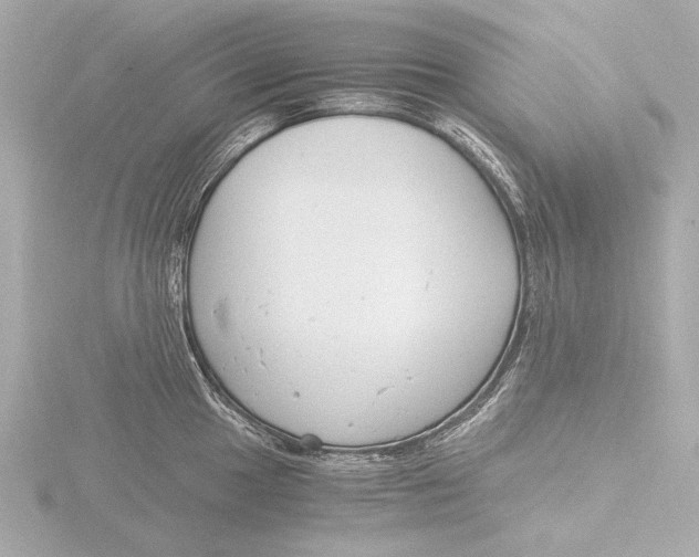 X0000116391049200912231105