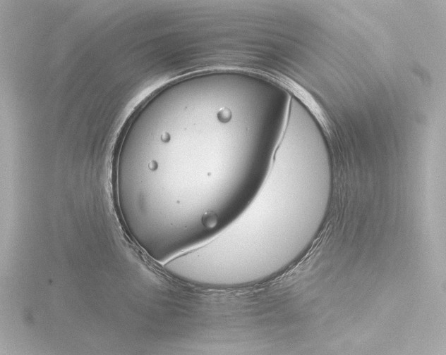 X0000116391051200912231105