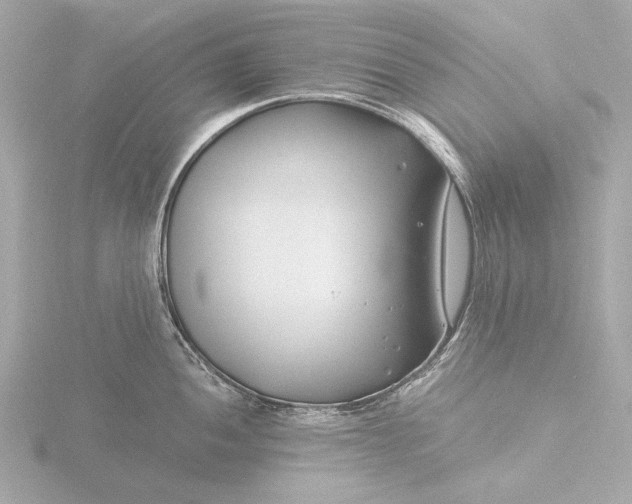 X0000116391052200912231105