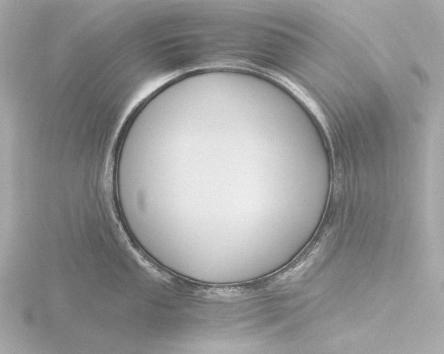 X0000116391053200912231105