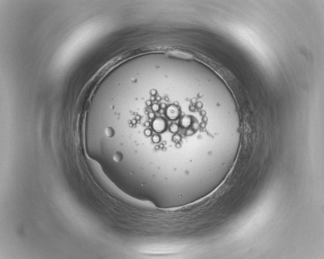 X0000116391054200912231105