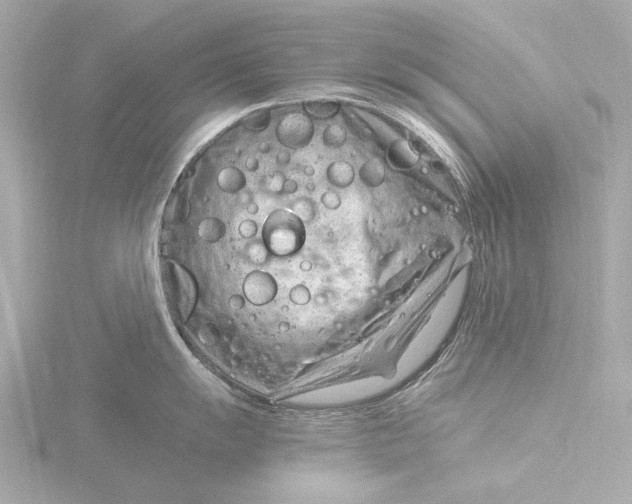 X0000116391055200912231105