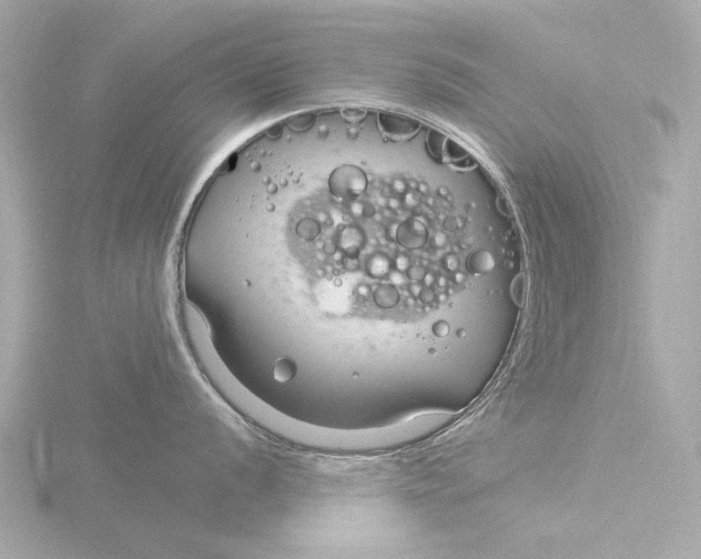 X0000116391056200912231105