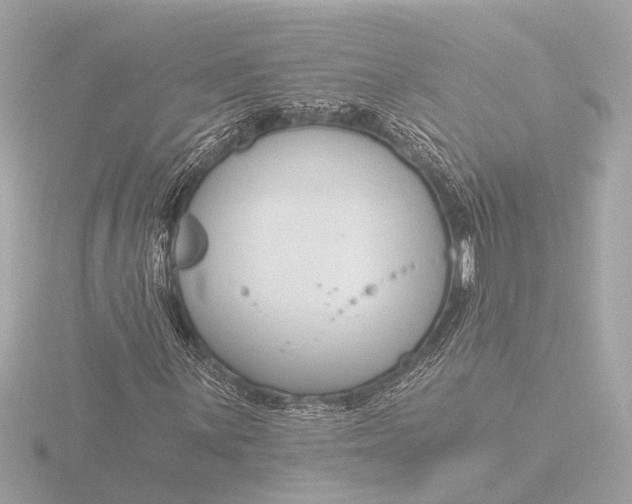 X0000116391059200912231105