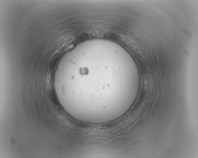 X0000116391060200912231105