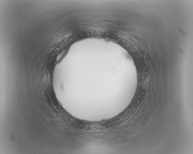 X0000116391061200912231105