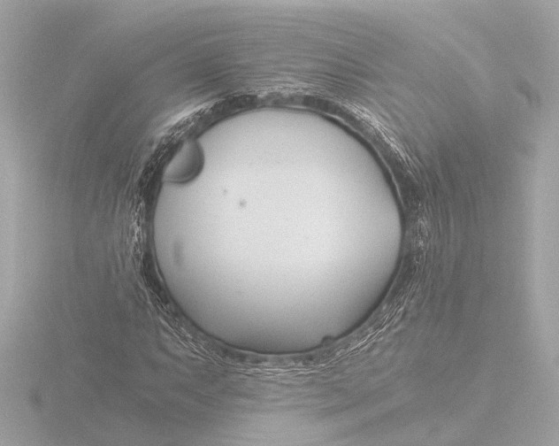 X0000116391063200912231105