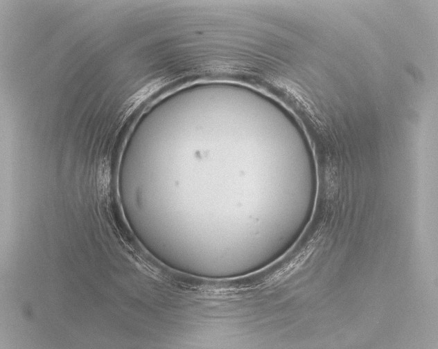 X0000116391065200912231105