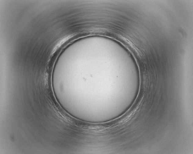 X0000116391066200912231105