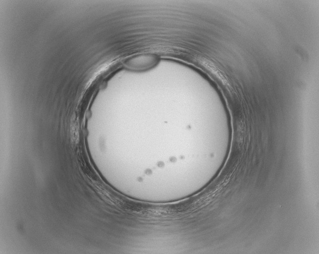 X0000116391067200912231105